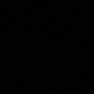 Meet your Posher, Caitie